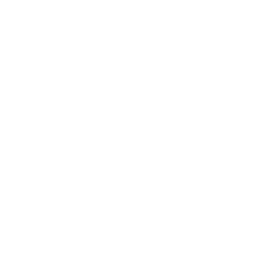 Twitter-Bird-icon-256